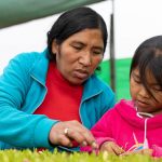 Principales brechas de género en Perú: Avanzando hacia el empoderamiento económico de las mujeres