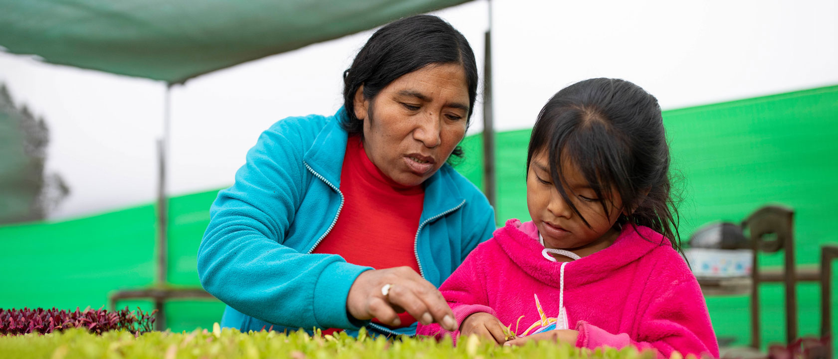 Principales brechas de género en Perú: Avanzando hacia el empoderamiento económico de las mujeres